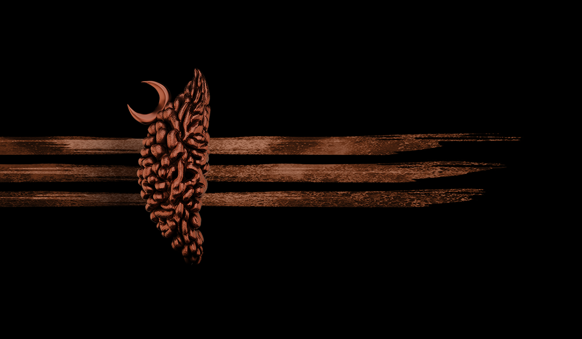 Tantric Geometry and the Inner Universe: Bindu, Lotus, and the Language of Becoming