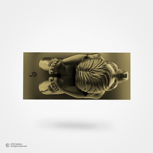 Swah:Gana / स्व:गण