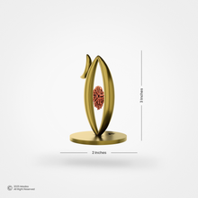 Swah:Netra / स्व:नेत्र