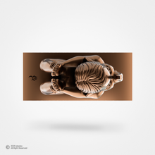 Swah:Gana / स्व:गण