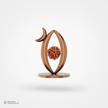 Swah:Netra / स्व:नेत्र