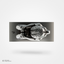 Swah:Gana / स्व:गण