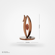 Swah:Netra / स्व:नेत्र