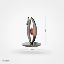 Swah:Netra / स्व:नेत्र